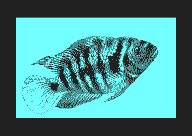 Fish _2.png
